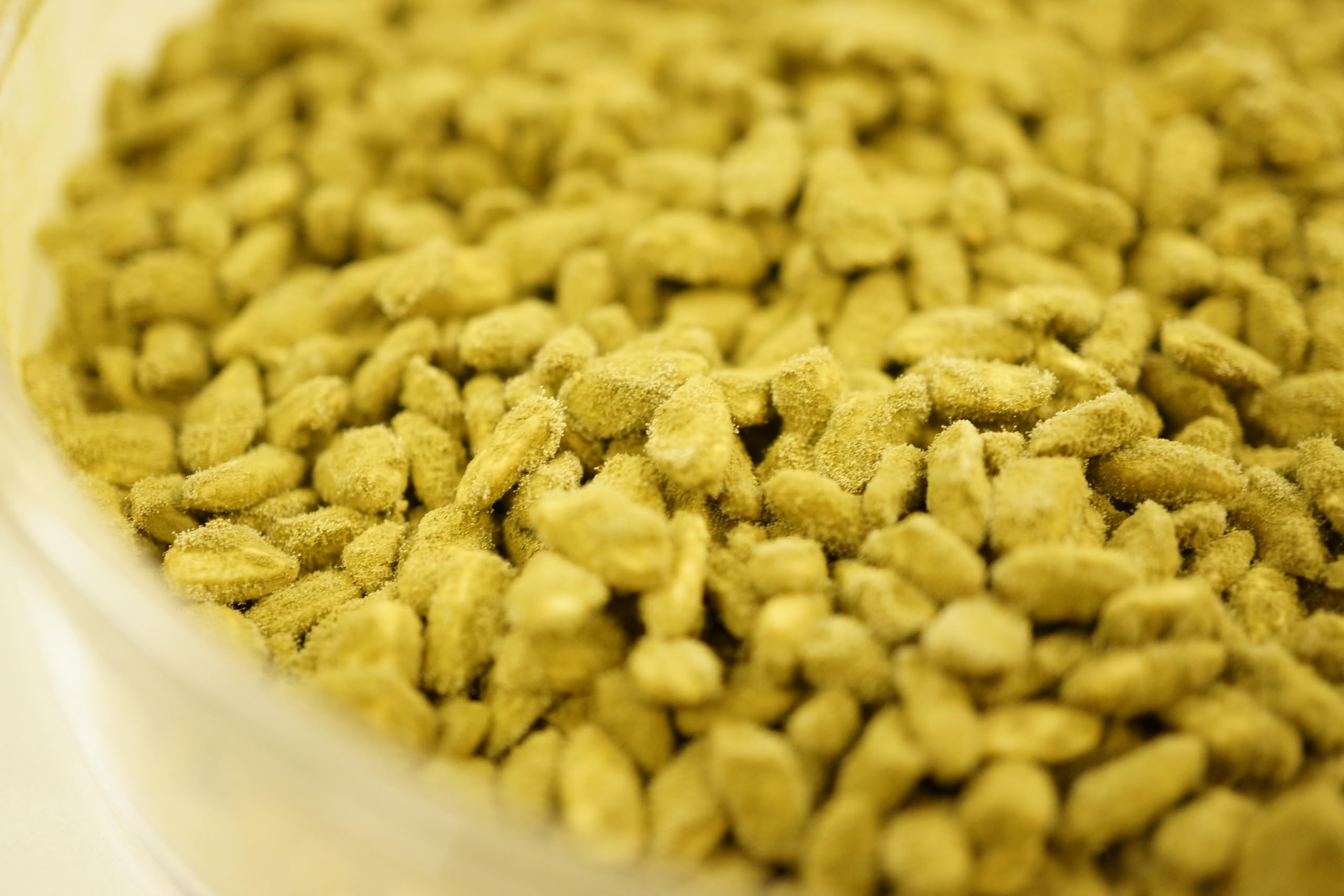 Kawachi Yellow Koji Starter Spores, 0.53oz (15g) Tane-koji Mold